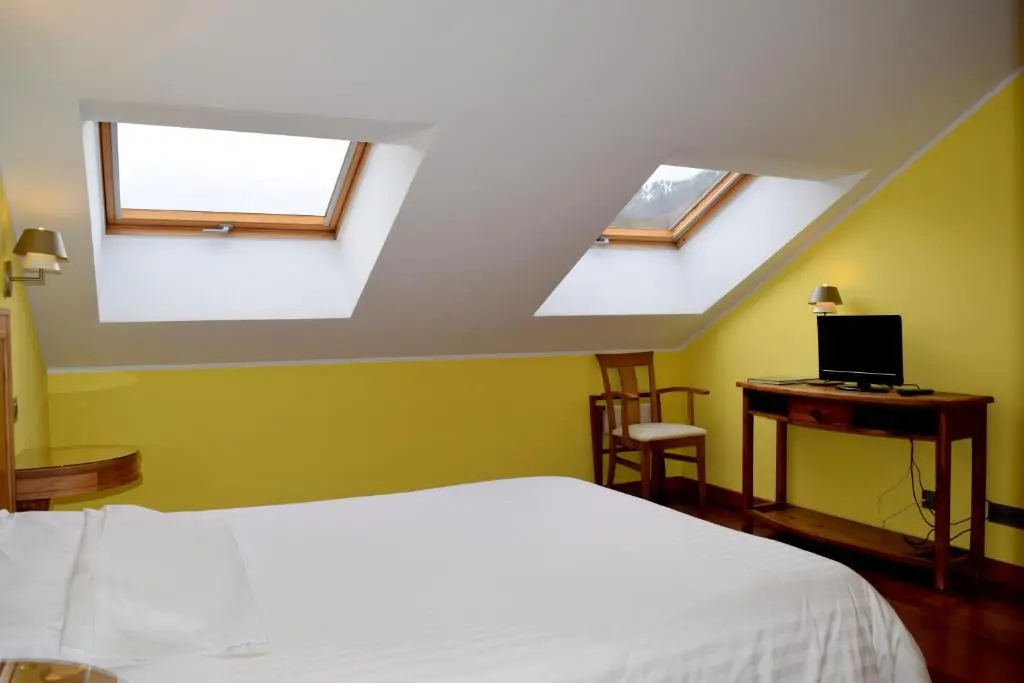 Standard Double Attic room (twin beds)