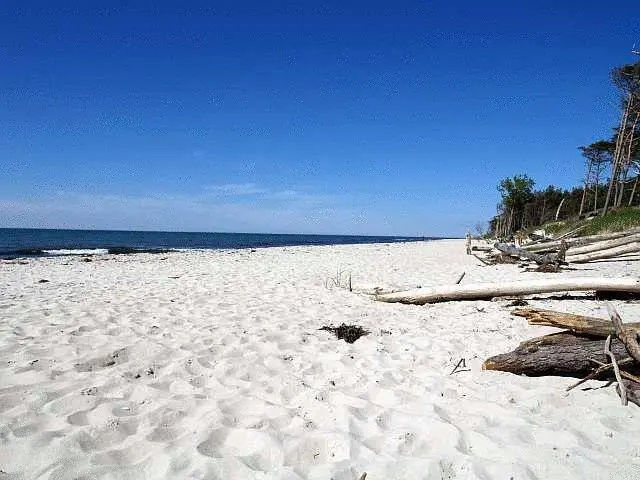 Hotel Strandburg Prerow - Général