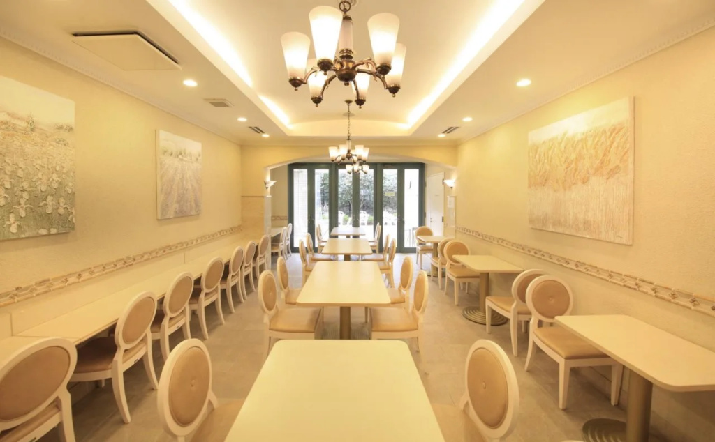 Hotel Coco Grand Kitasenju - Général