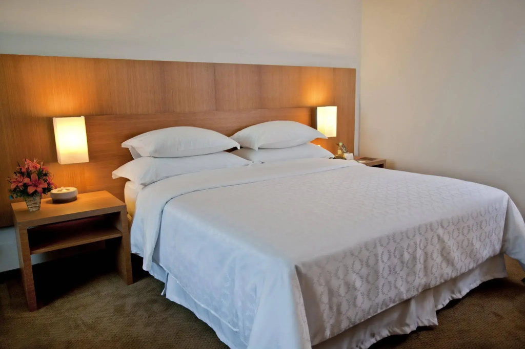 Sheraton Vitoria Hotel - Général