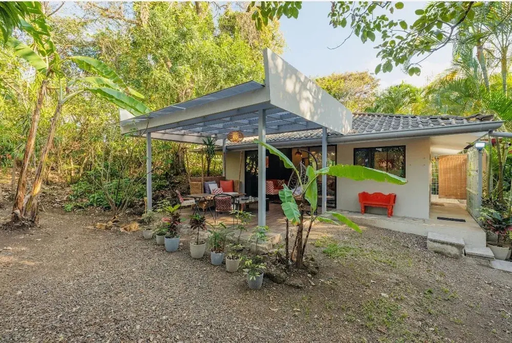 Relaxing Sound of River Birds Squirrels - фото 12