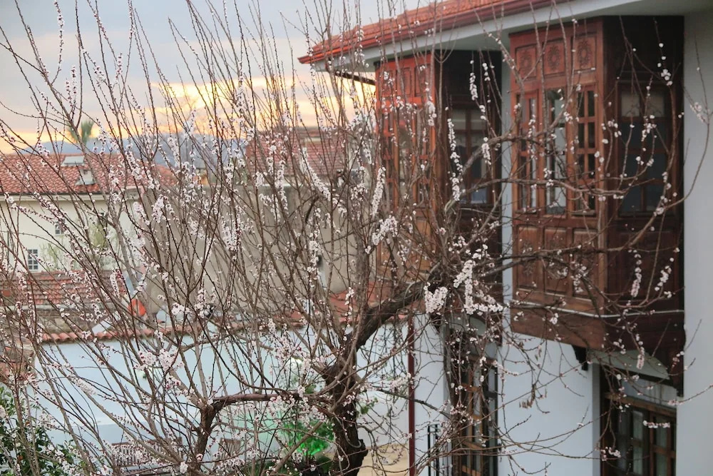 Ephesus Paradise