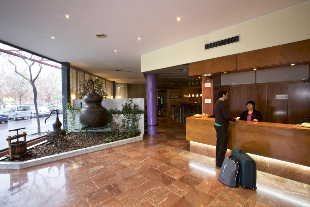 Hotel Domo - Général