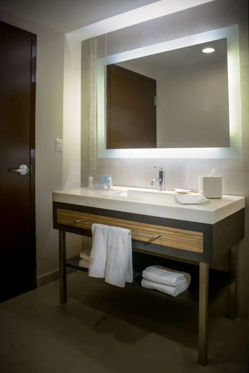 Hampton Inn by Hilton Zacatecas - Général
