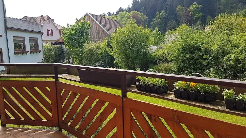 Balcony & Terrace