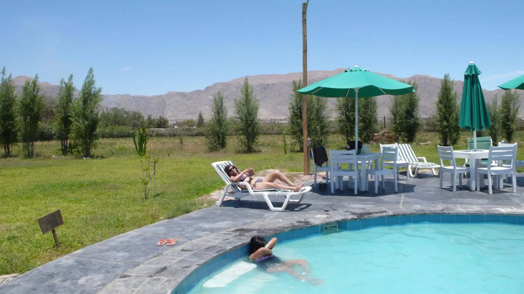 Casa Hacienda Nasca Oasis - фото 11
