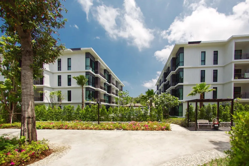 Santa Marta Golden by Homing