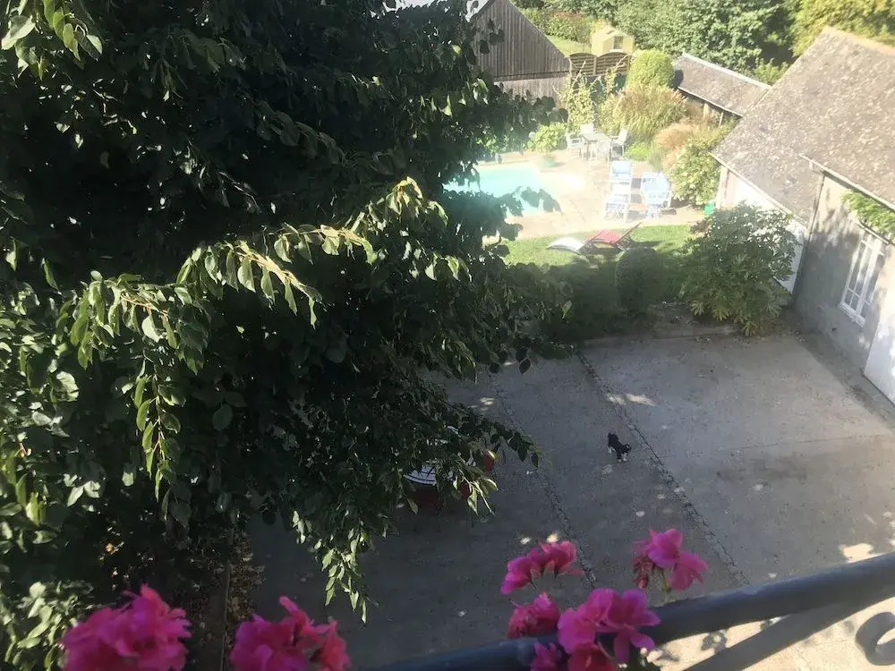 Hotel photo 13