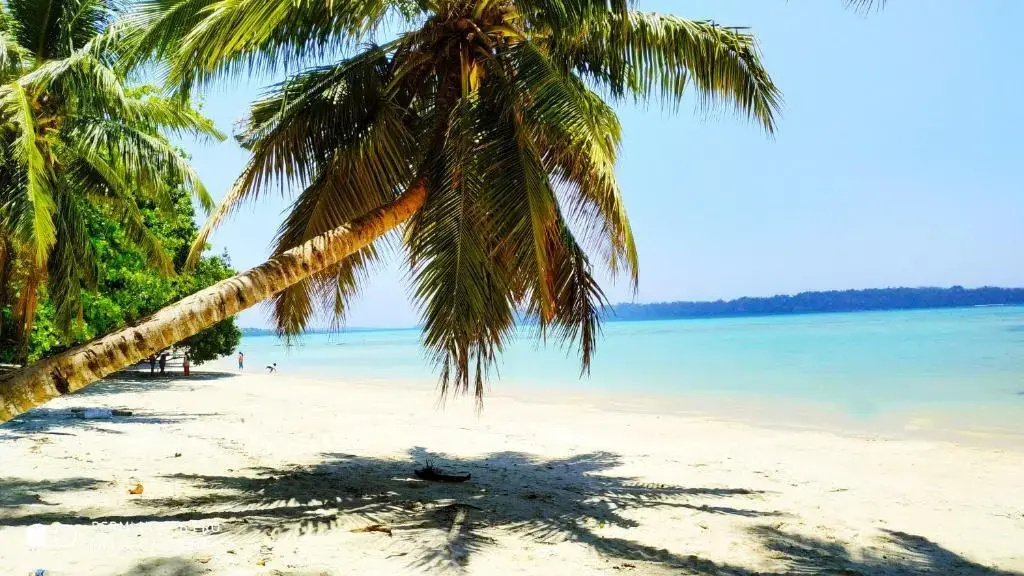Shangrilas Beach Resort