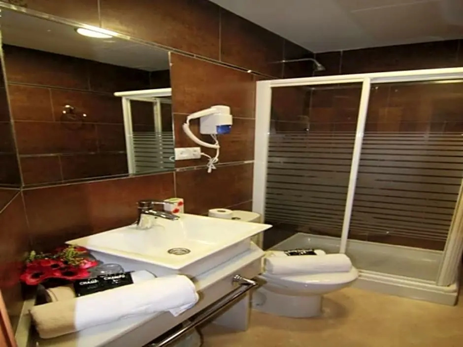Standard Double room (twin beds)