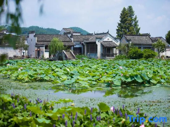 Riverside One Cottage, Chengkan · Huizhou Scenic Homestay in Huangshan
