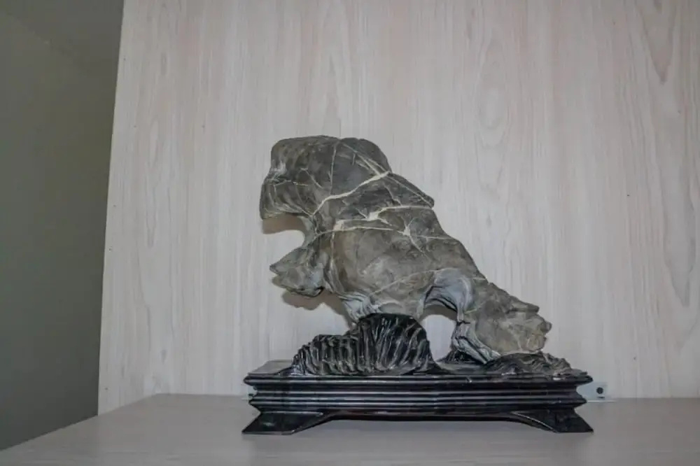 Hotel photo 39