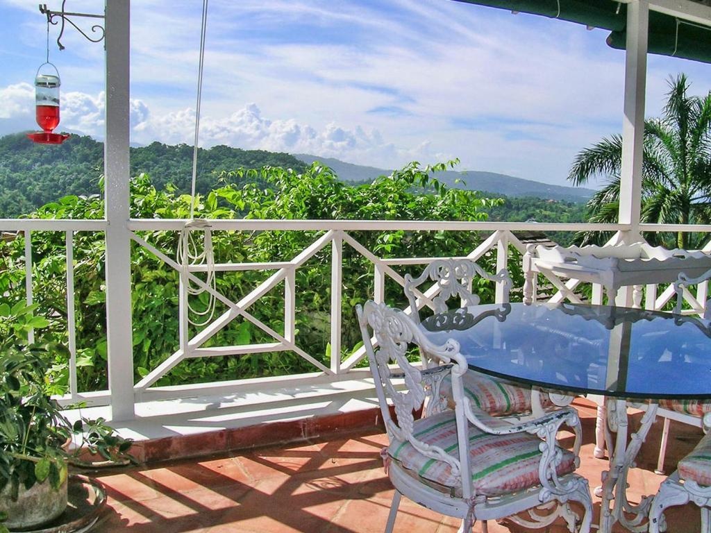 The Fan Villa 1
