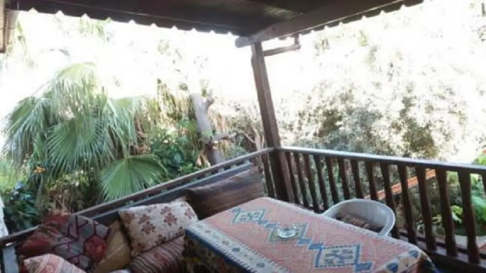 Balcony & Terrace