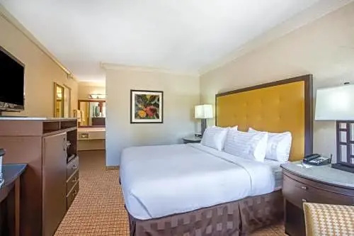 Holiday Inn Laguna Beach, an IHG Hotel - Chambres