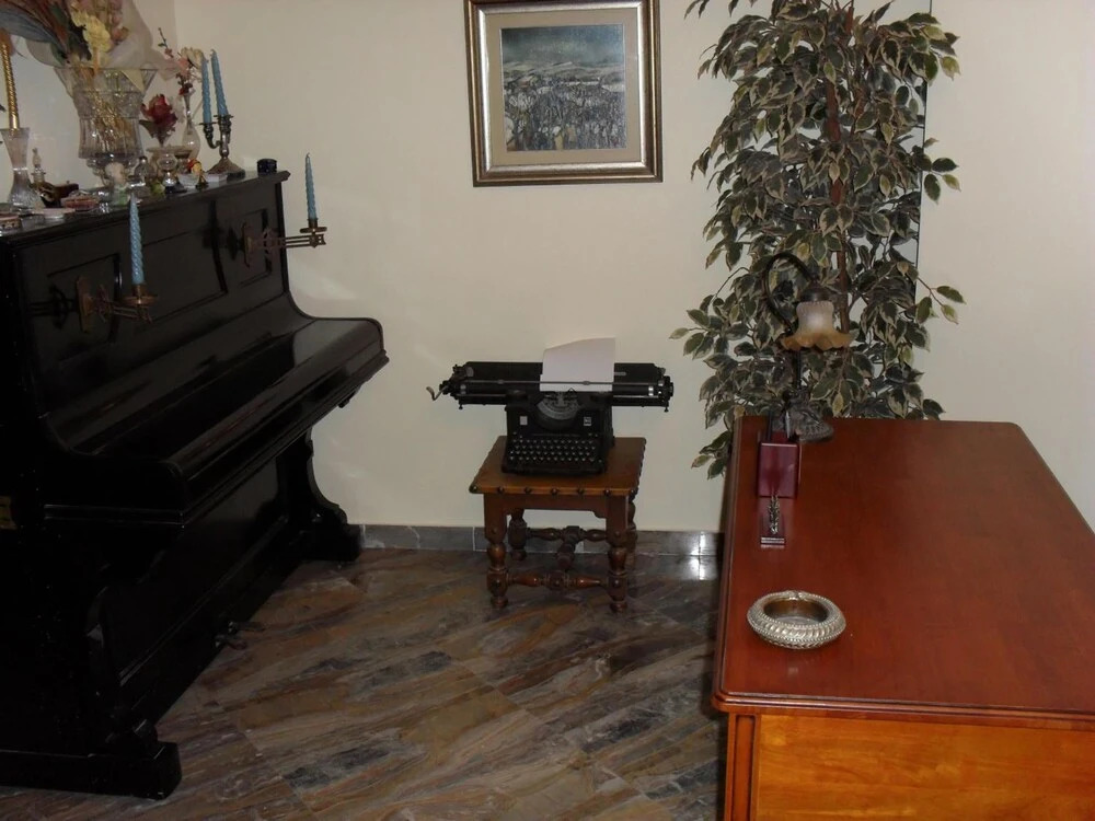 Image 4