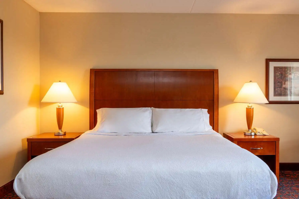 Hilton Garden Inn Manchester Downtown - Chambres