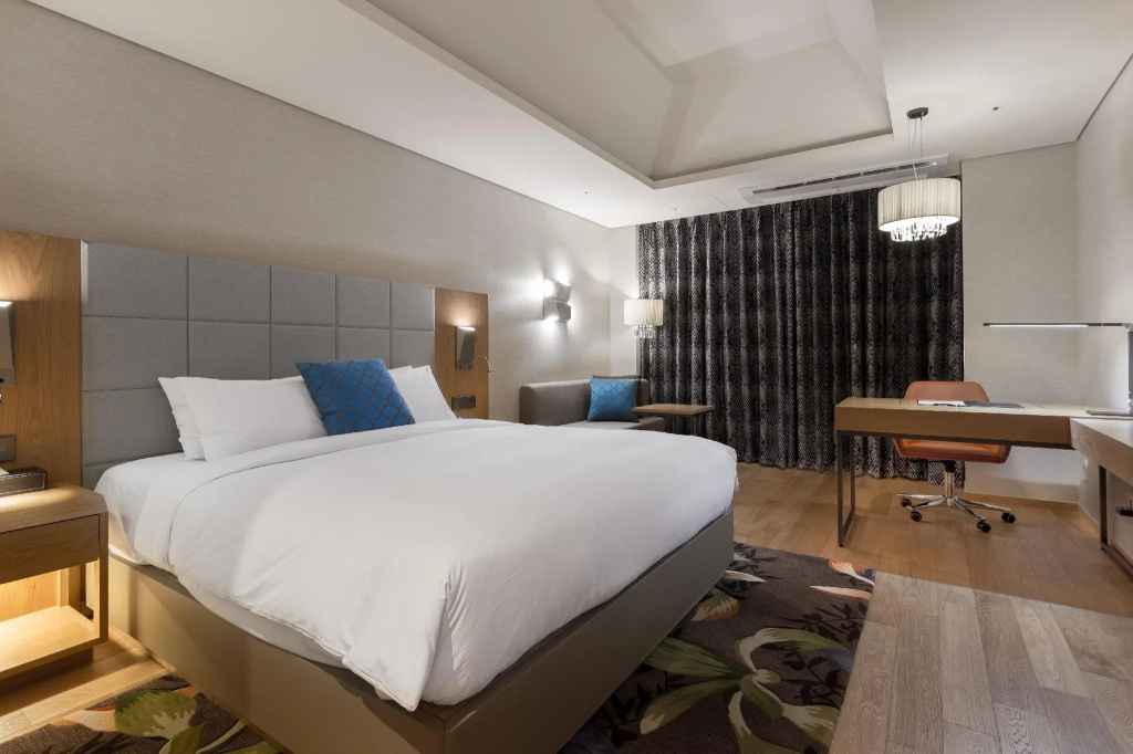 Deluxe Double room (full double bed)