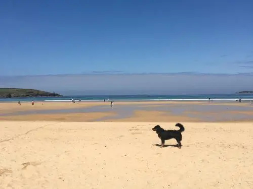 Beach & Waterfront