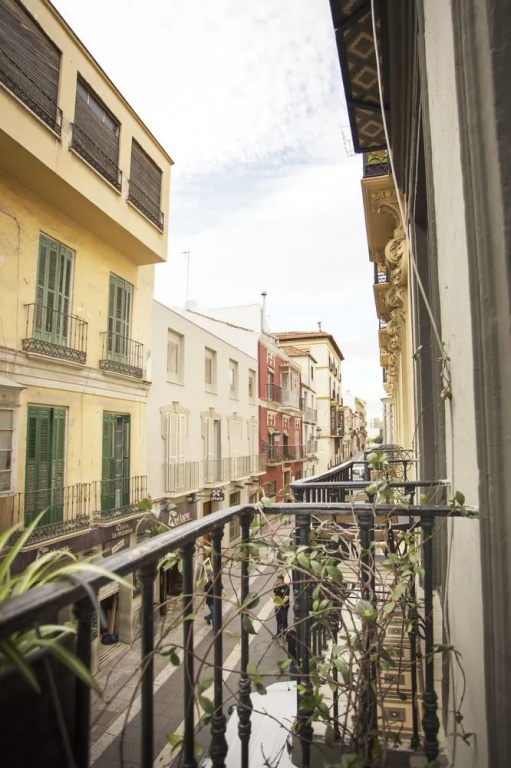 Bright and Cozy Malaga Center