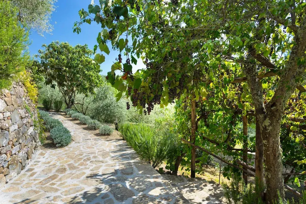 Fattoria Valtellina by Boutique Tuscany