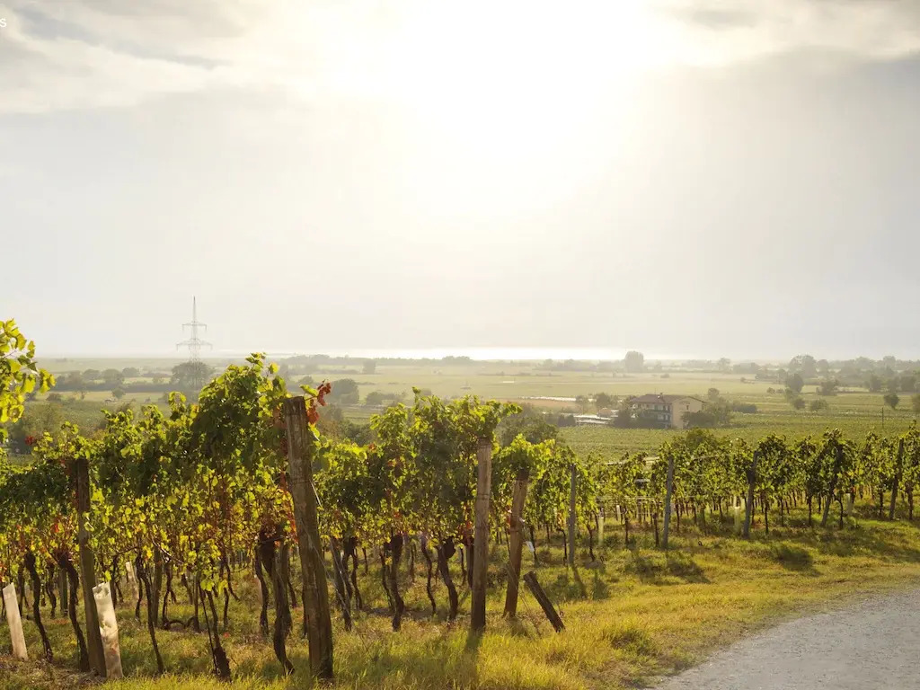 Apartment With Pool, Roof Terrace, Garden - фото 5