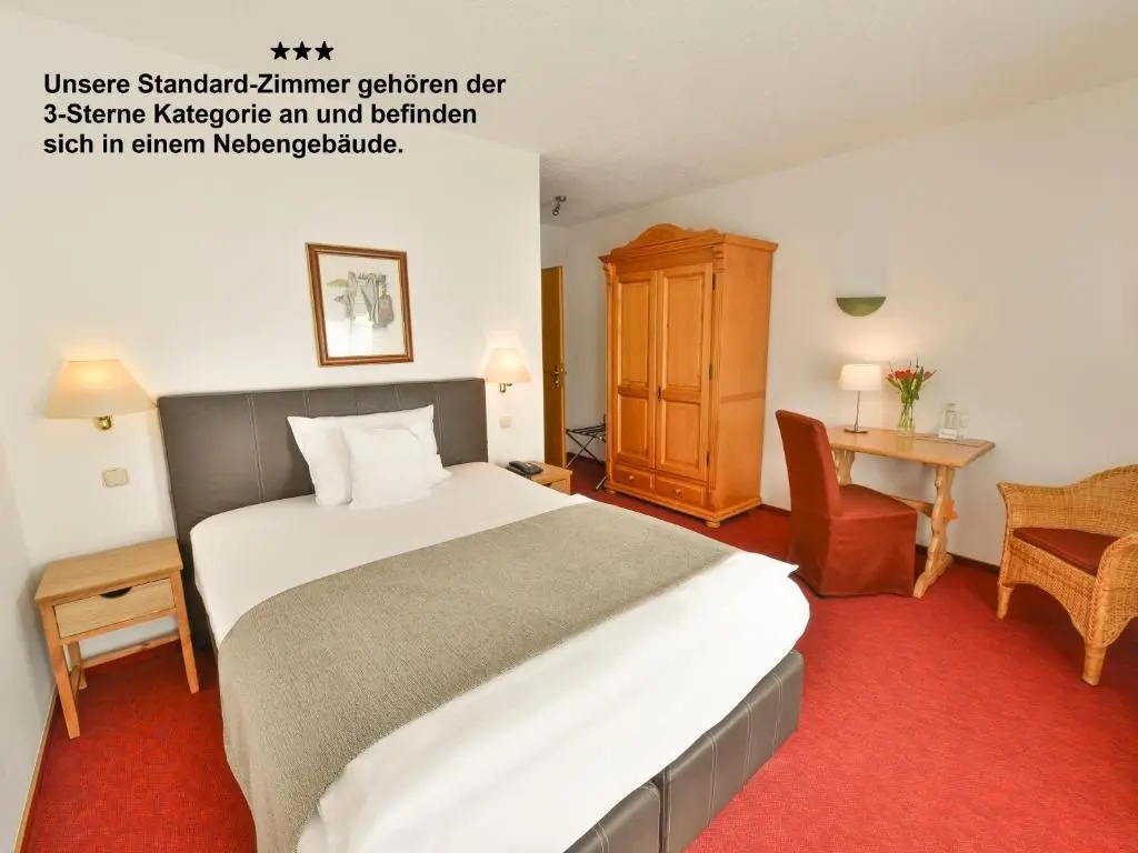 Standard Double room (full double bed)