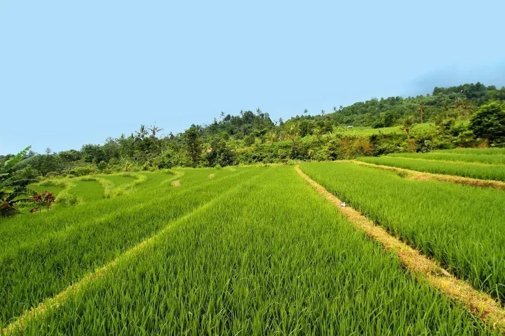 The Khana Sambangan - Général