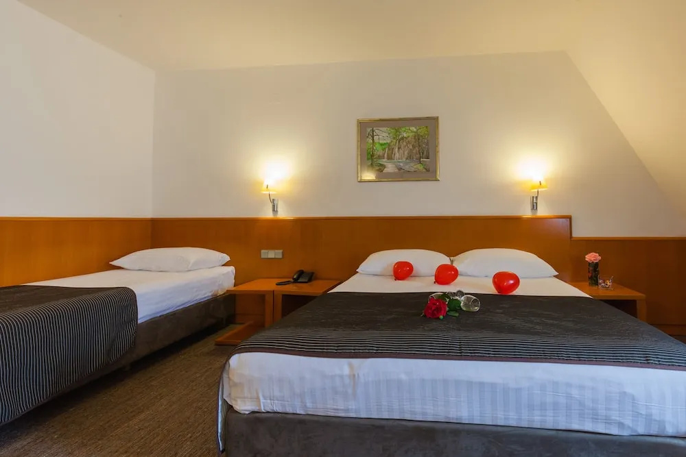 Grabovac Hotel - Général
