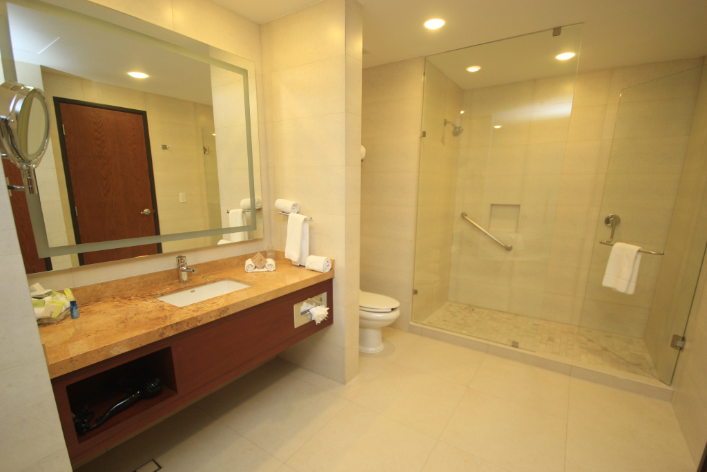 Holiday Inn Leon Plaza Mayor by IHG - Général