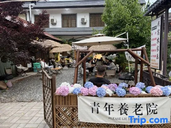 Maiji Mountain Grottoes Front Courtyard and Backyard Featured Homestay in Tianshui