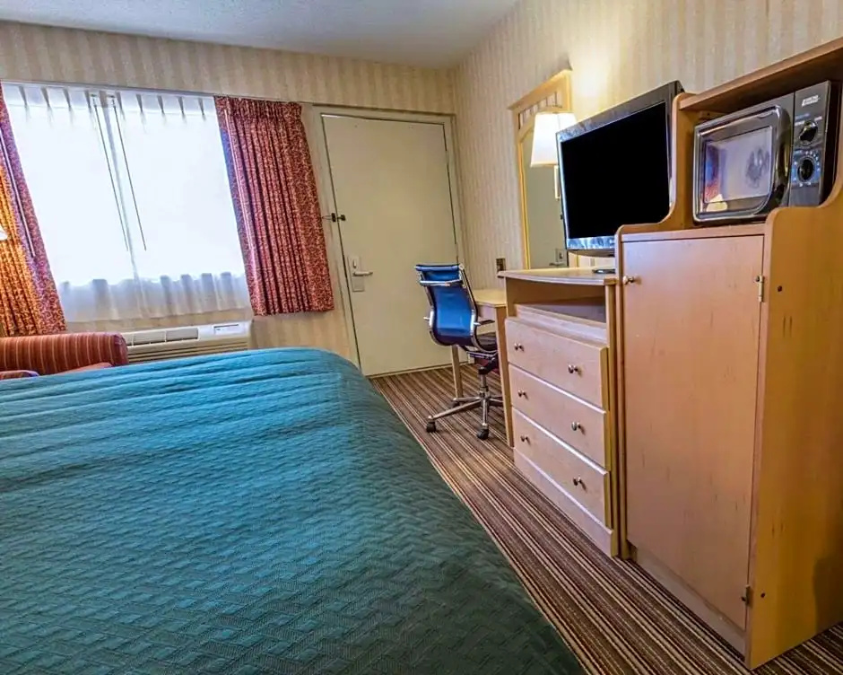 Comfort Inn - Chambres