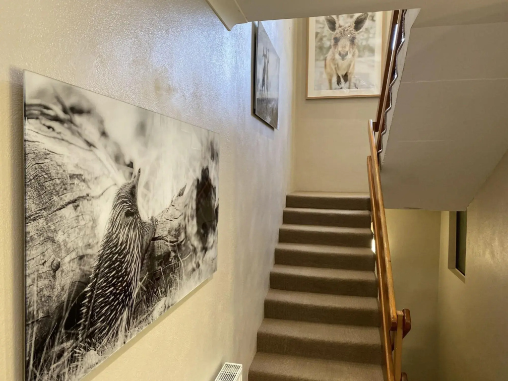 Hotel photo 35