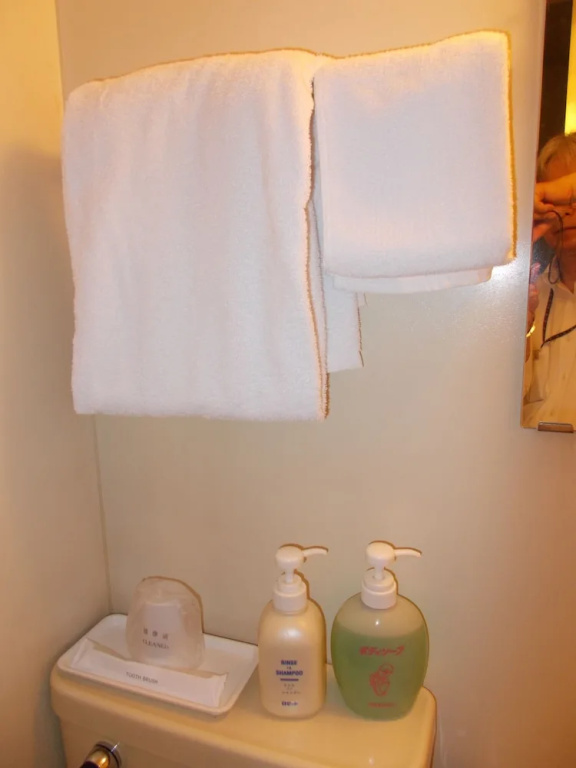 Hotel Green Arbor - Chambres