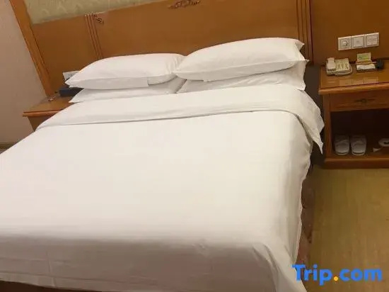 Vienna Hotel Shenzhen View Lake Park - Chambres