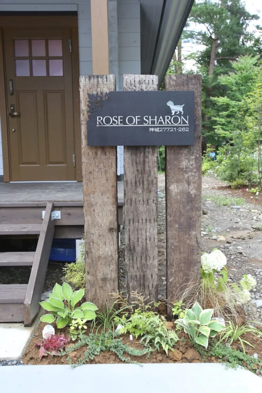 Rose of Sharon