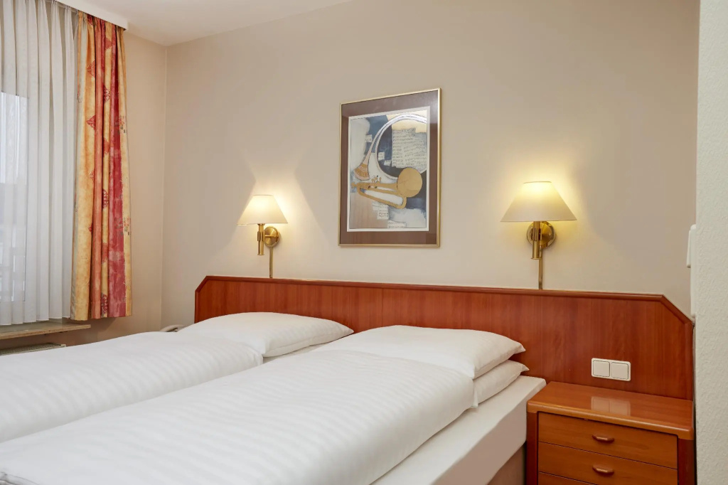 Comfort Double room (full double bed)