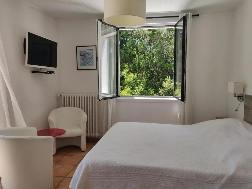 Standard Double room with pool view (full double bed)