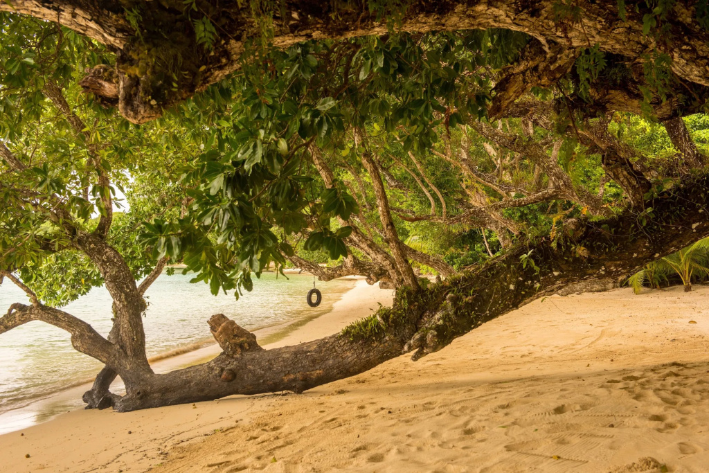 Barrier Beach Resort - Général