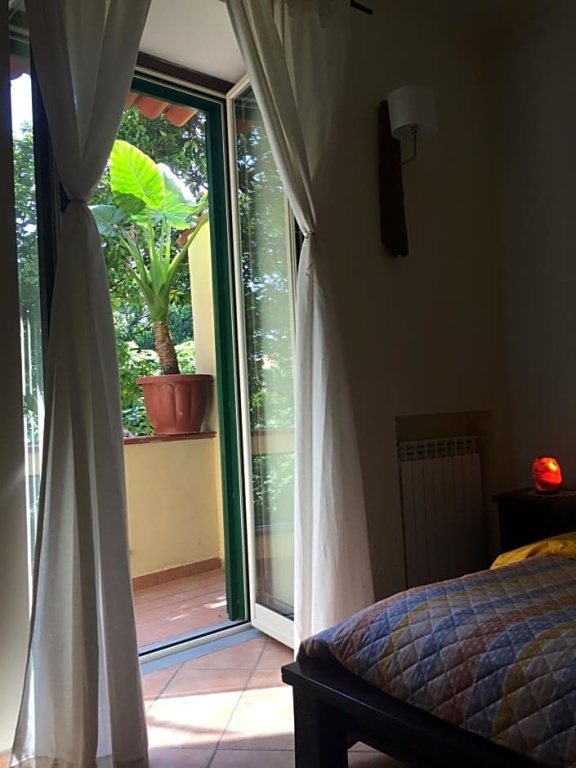Balcony & Terrace