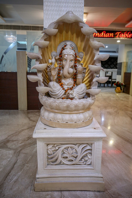 Hotel Vaibhav Inn - Général