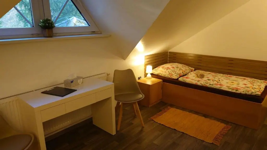 Standard Double room (twin beds)