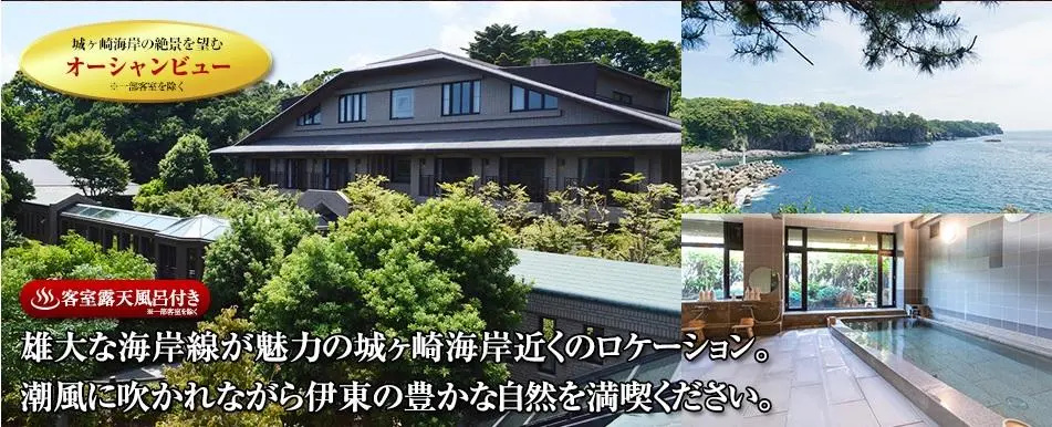 LiVEMAX RESORT Jogasaki Kaigan - Chambres