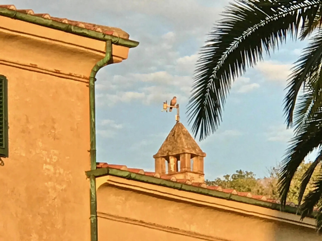 Villa Maremma Mare Magical Historic Villa With Pool on Tuscany Coast