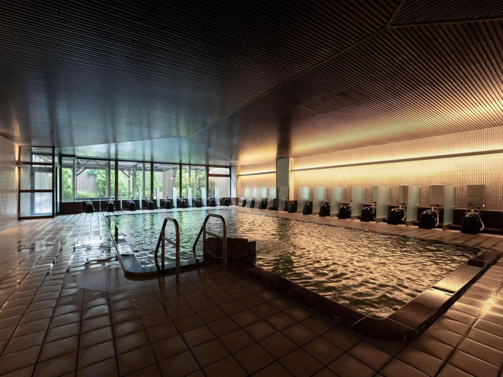 Mercure Miyagi Zao Resort & Spa - фото 19