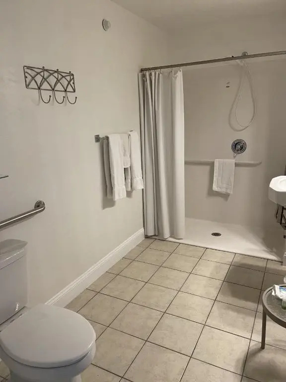 Standard Double room with lake view (full double bed)