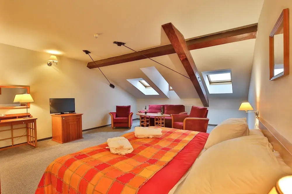 LH Hotel Dvorak Tabor - Chambres