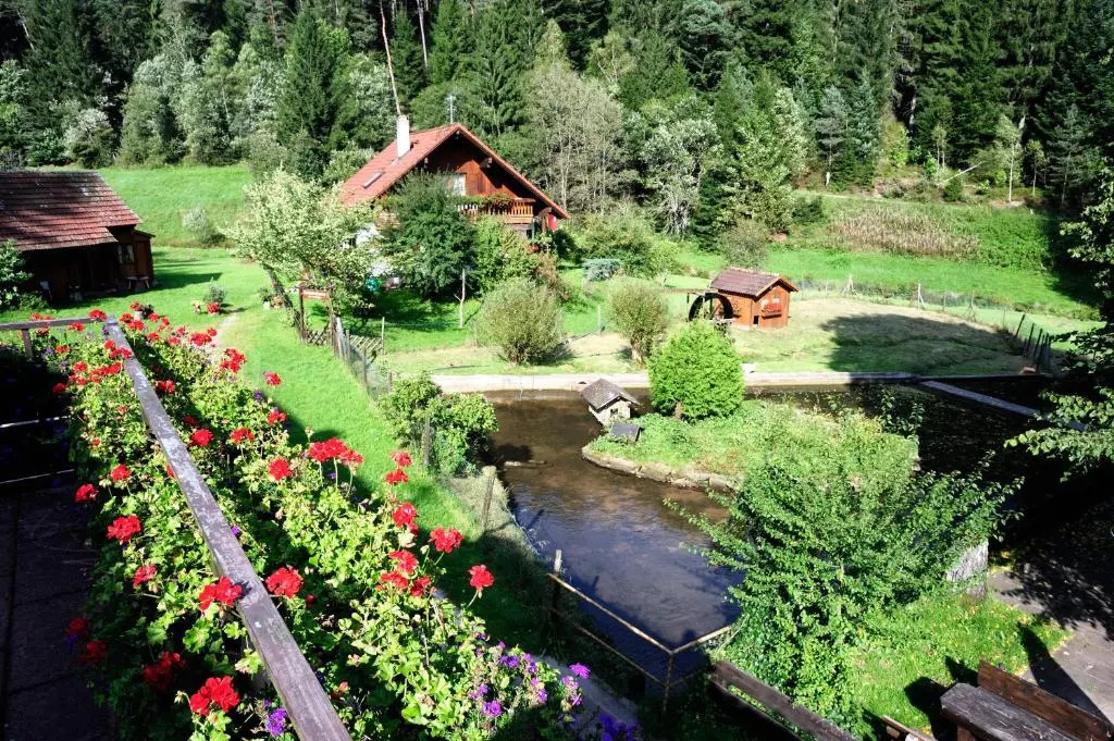 Jägerhof Kropfmühle - Chambres
