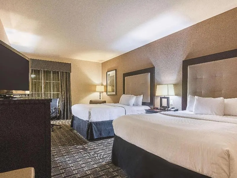 La Quinta Inn & Suites by Wyndham Mt. Pleasant - Chambres