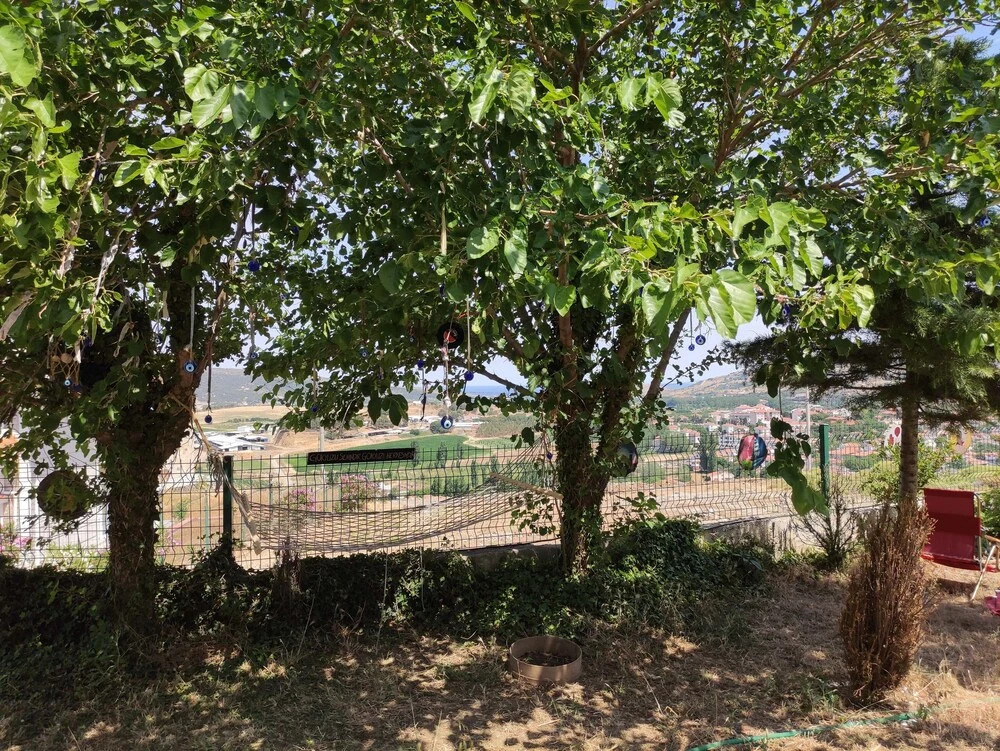 Image 13